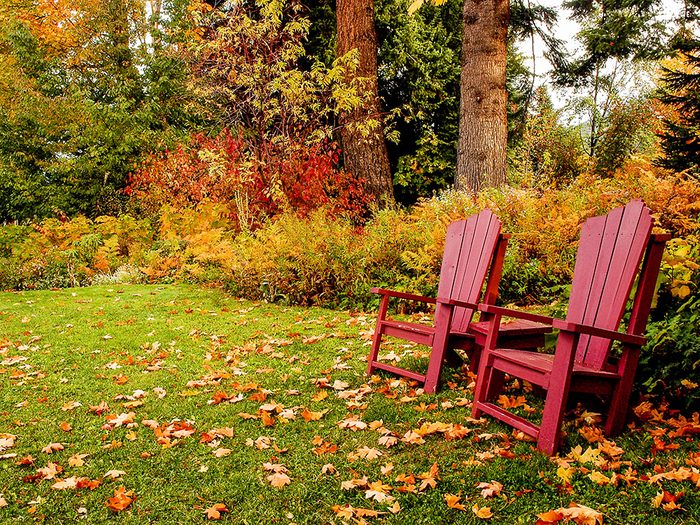 Travaux d'automne: laissez faire la nature.
