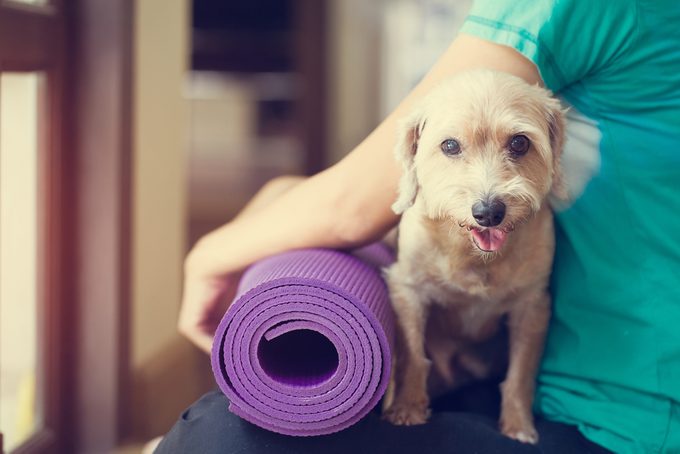 Tout ce que vous devez savoir sur les cours de yoga pour chiens.