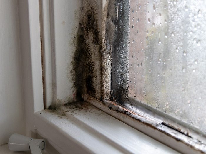 Examinez les fenêtres pour éviter la moisissure.
