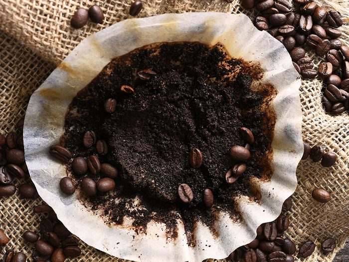 Voici 11 façons ingénieuses d’utiliser le marc de café!