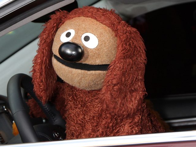 Chien clbre ROWLF Muppets Show