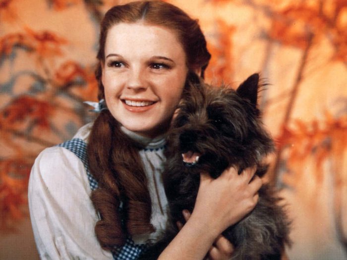 Judy Garland Dorothy Toto Magicien Oz