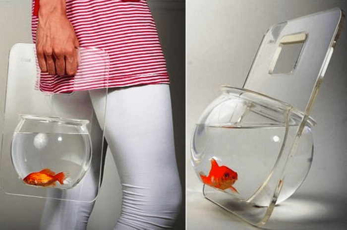Un aquarium portable parmi les objets les plus inusités pour vos animaux.