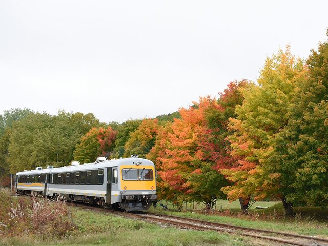 Train rgional de Charlevoix en automne.