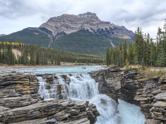 Les chutes Athabasca sont au Canada, en Alberta