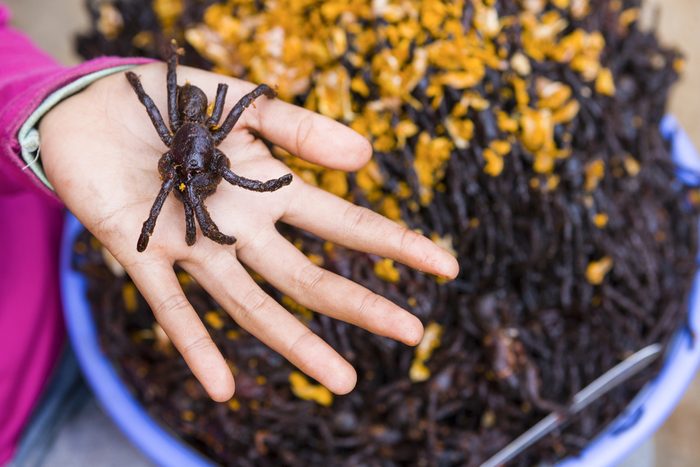 Les aliments les plus étranges du globe, l'araignée frite