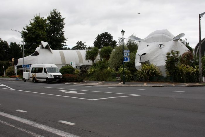 Une attraction touristique bizarre en Nouvelle-Zélande