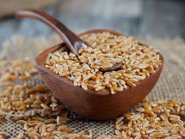 Le khorasan (kamut) est l'un des grains anciens nutritifs et riches en protines.