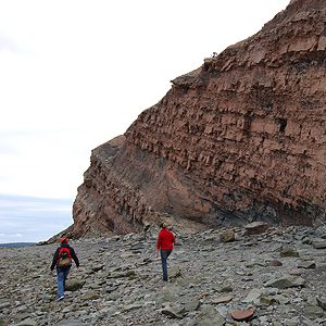 Les falaises fossilifres de Joggins en Nouvelle-cosse: un site touristique  couper le souffle!