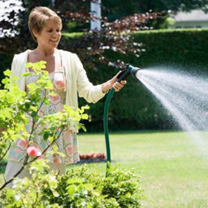 12. Pour éviter de trop arroser votre pelouse, rappelez-vous que la quantité idéale d'eau est de 2,5 cm par semaine, ou aux cinq jours durant les périodes de canicule. 