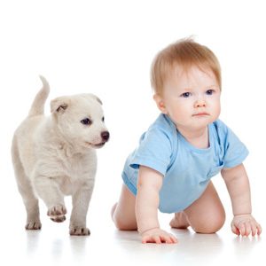 Comment présenter votre animal de compagnie à votre bébé