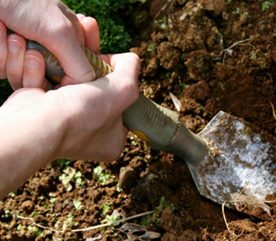 6. Vous pouvez envoyer un échantillon de sol dans un laboratoire agricole de votre région pour obtenir une évaluation. 