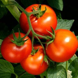 6. Consommez davantage de tomates