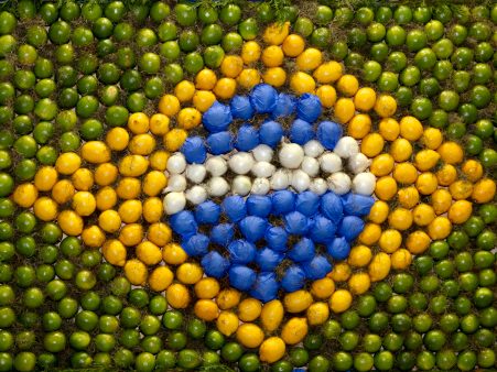 10 meilleurs conseils du guide alimentaire brésilien