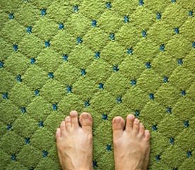 2. Nettoyez les tapis et les meubles rembourrés