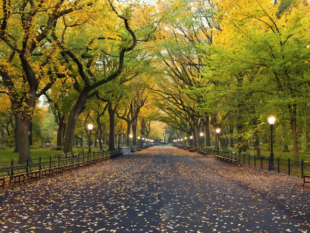 7. Central Park: un site incontournable de New York City