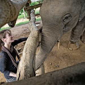 Comment un éléphanteau a changé la vie d'une femme