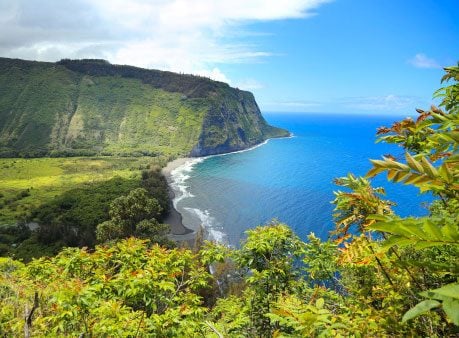 Hawaï : Un « Parc Jurassic » végétal 