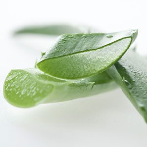 2. Mettez du gel d'Aloe vera tous les jours