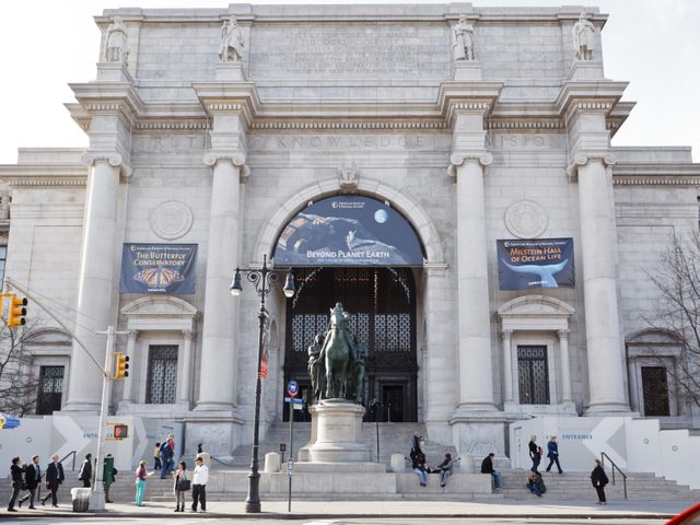10. L'American Museum of Natural History: l'un des plus beaux muses de New York