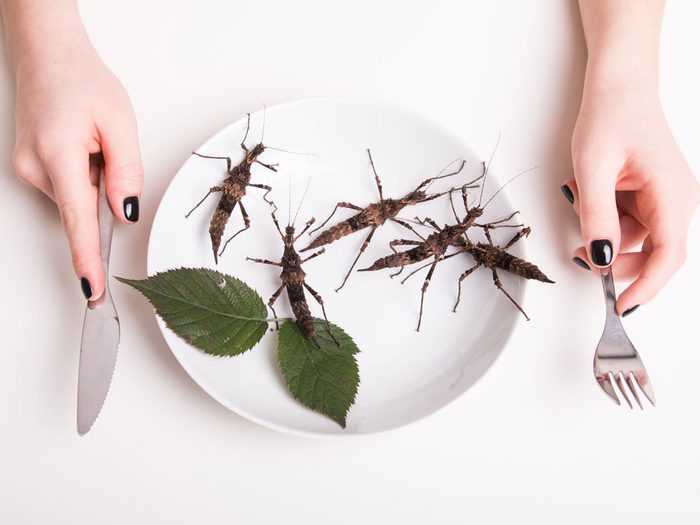La nourriture du futur : fabriquée avec des insectes?