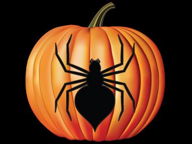 11e motif de pochoir pour citrouille: l'araignée effrayante