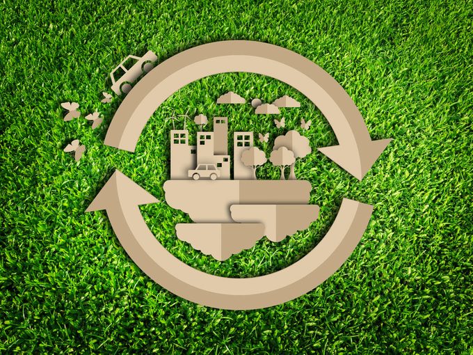 Environnement: Devenez écolo en 6 étapes faciles