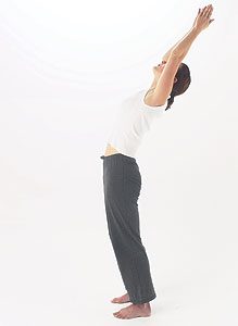 Position 2 : Flexion arrière 1