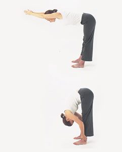 Position 3 : Flexion avant
