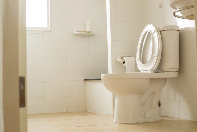 Optez pour une toilette plus cologique et conomique si vous rnovez votre salle de bain.
