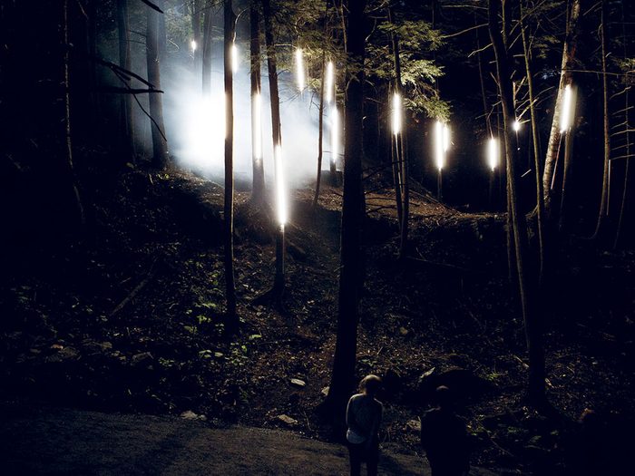 Foresta Lumina, une activité très populaire à Coaticook