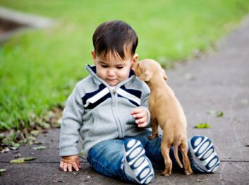 Un animal de compagnie peut protéger les fonctions respiratoires chez l'enfant.