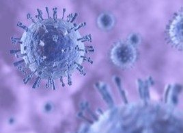 10 mythes et vérités à propos des virus et bactéries