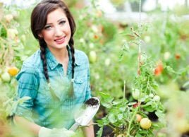 Jardin: Les 5 meilleurs aliments à cultiver