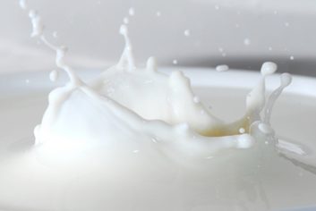 Essayez le lait sans lactose