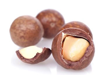 Les noix de macadamia
