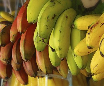 Les bananes ont différentes couleurs