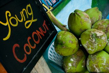 Jeune noix de coco