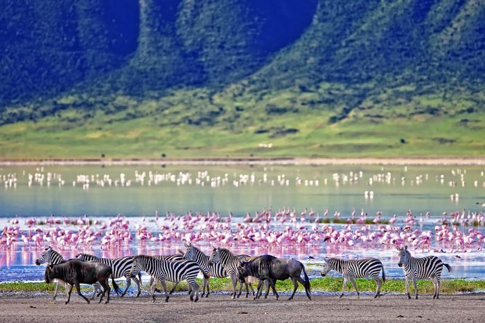 L'aire de conservation du Ngorongoro en Tanzanie
