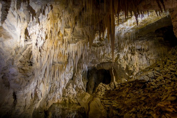Les grottes de Waitomo en Nouvelle-Zélande