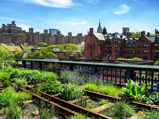 Quoi faire  new york: se promener le long du High Line Park.