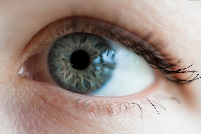 L'iridologie est une approche qui étudie l'iris en vue de détecter des maladies potentielles. 