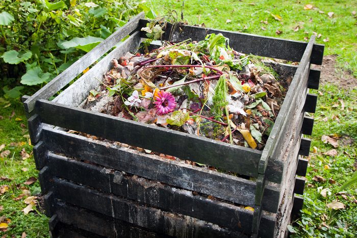 Si vous n'arrivez pas à ressusciter votre plante morte, faites-en du compost.