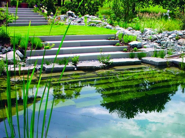 Jardin de rêve: un bassin de baignade écologique.