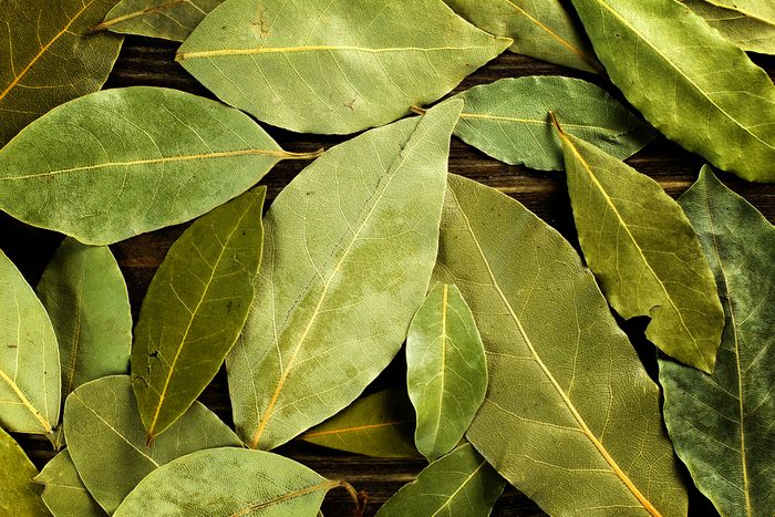 Les feuilles de laurier, un remède naturel contre les flatulences