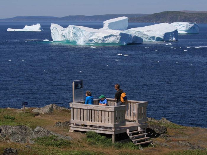 Voyage dans les Maritimes: les icebergs de Terre-Neuve