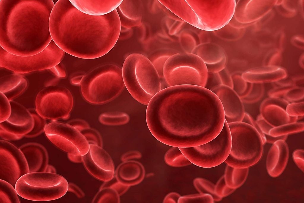 Mythe: Le sang est bleu à l’intérieur de votre corps