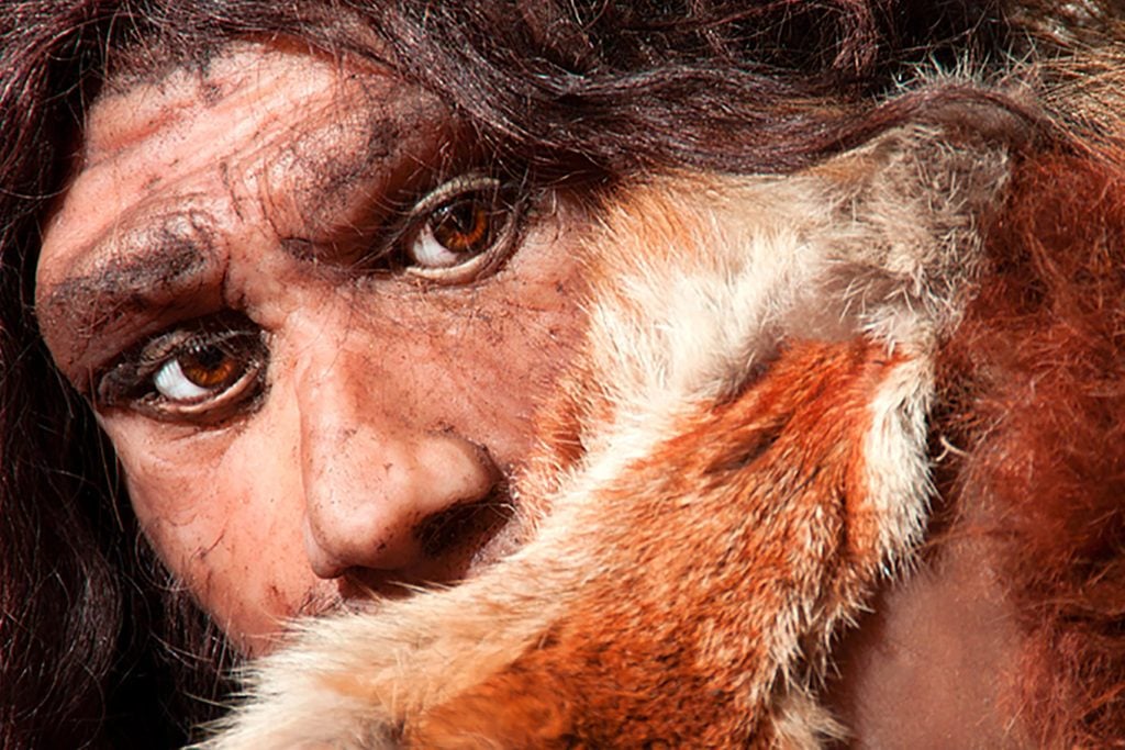 Mythe: l'homme de Néandertal était un ancêtre moins évolué de l’homme