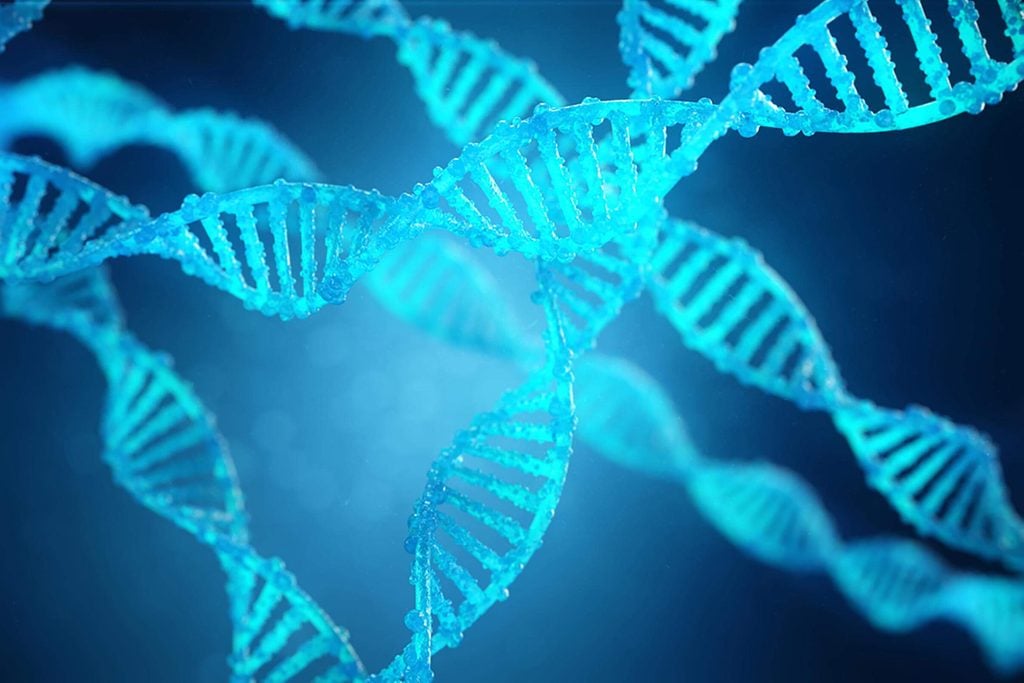 Mythe: les gènes déterminent la race