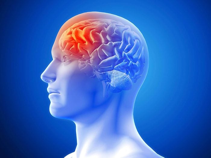 Une image scientifique d'un cerveau dans la tête d'un humain.